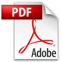 Adobe Graphic